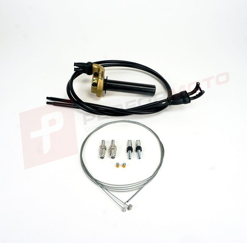 Domino kre gold gasgriff - gold, qa